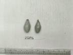 Click for 1 image(s) for this accession. FRUIT